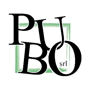 PUBO S.R.L. Active